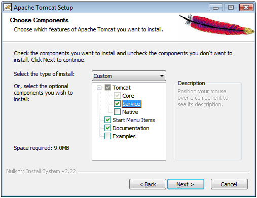 Tomcat - choose components