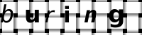 Obrázok CAPTCHA