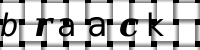 Obrázok CAPTCHA