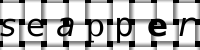 Obrázok CAPTCHA