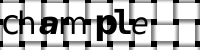 Obrázok CAPTCHA