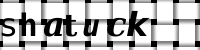 Obrázok CAPTCHA
