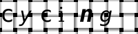 Obrázok CAPTCHA