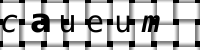 Obrázok CAPTCHA