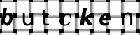 Obrázok CAPTCHA