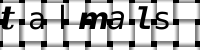 Obrázok CAPTCHA