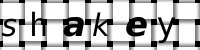 Obrázok CAPTCHA