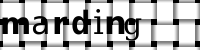 Obrázok CAPTCHA