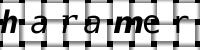 Obrázok CAPTCHA