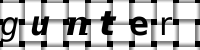 Obrázok CAPTCHA