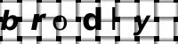 Obrázok CAPTCHA