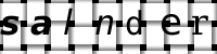 Obrázok CAPTCHA