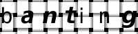 Obrázok CAPTCHA