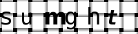Obrázok CAPTCHA
