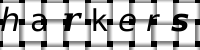 Obrázok CAPTCHA