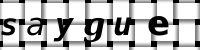 Obrázok CAPTCHA