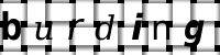 Obrázok CAPTCHA