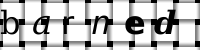 Obrázok CAPTCHA