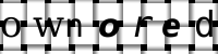 Obrázok CAPTCHA