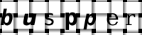 Obrázok CAPTCHA