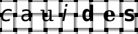 Obrázok CAPTCHA
