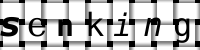 Obrázok CAPTCHA
