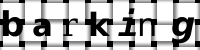 Obrázok CAPTCHA