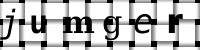 Obrázok CAPTCHA