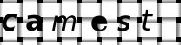Obrázok CAPTCHA
