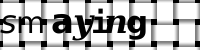 Obrázok CAPTCHA