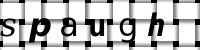 Obrázok CAPTCHA
