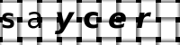 Obrázok CAPTCHA
