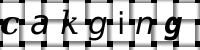 Obrázok CAPTCHA