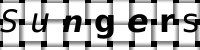 Obrázok CAPTCHA