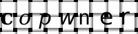 Obrázok CAPTCHA