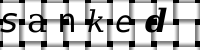 Obrázok CAPTCHA