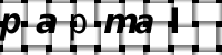 Obrázok CAPTCHA