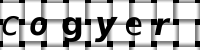 Obrázok CAPTCHA