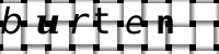 Obrázok CAPTCHA