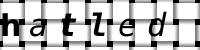 Obrázok CAPTCHA