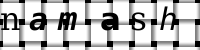 Obrázok CAPTCHA