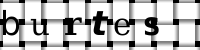 Obrázok CAPTCHA