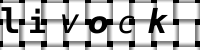 Obrázok CAPTCHA