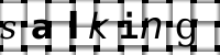 Obrázok CAPTCHA