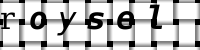 Obrázok CAPTCHA