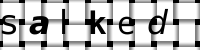 Obrázok CAPTCHA
