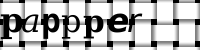 Obrázok CAPTCHA