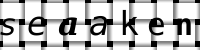 Obrázok CAPTCHA