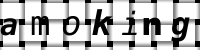 Obrázok CAPTCHA