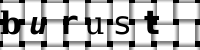 Obrázok CAPTCHA